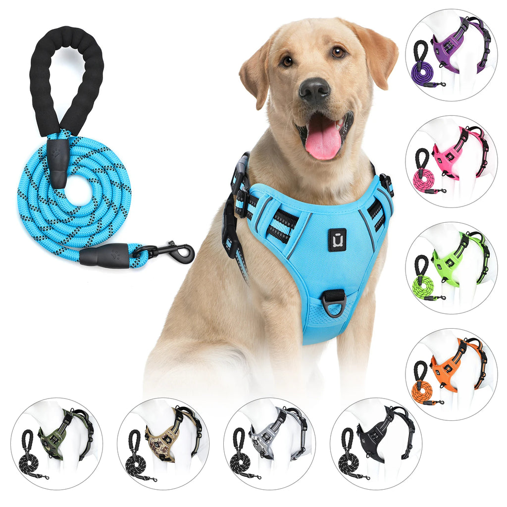 Dog Harness and Leash Combo
