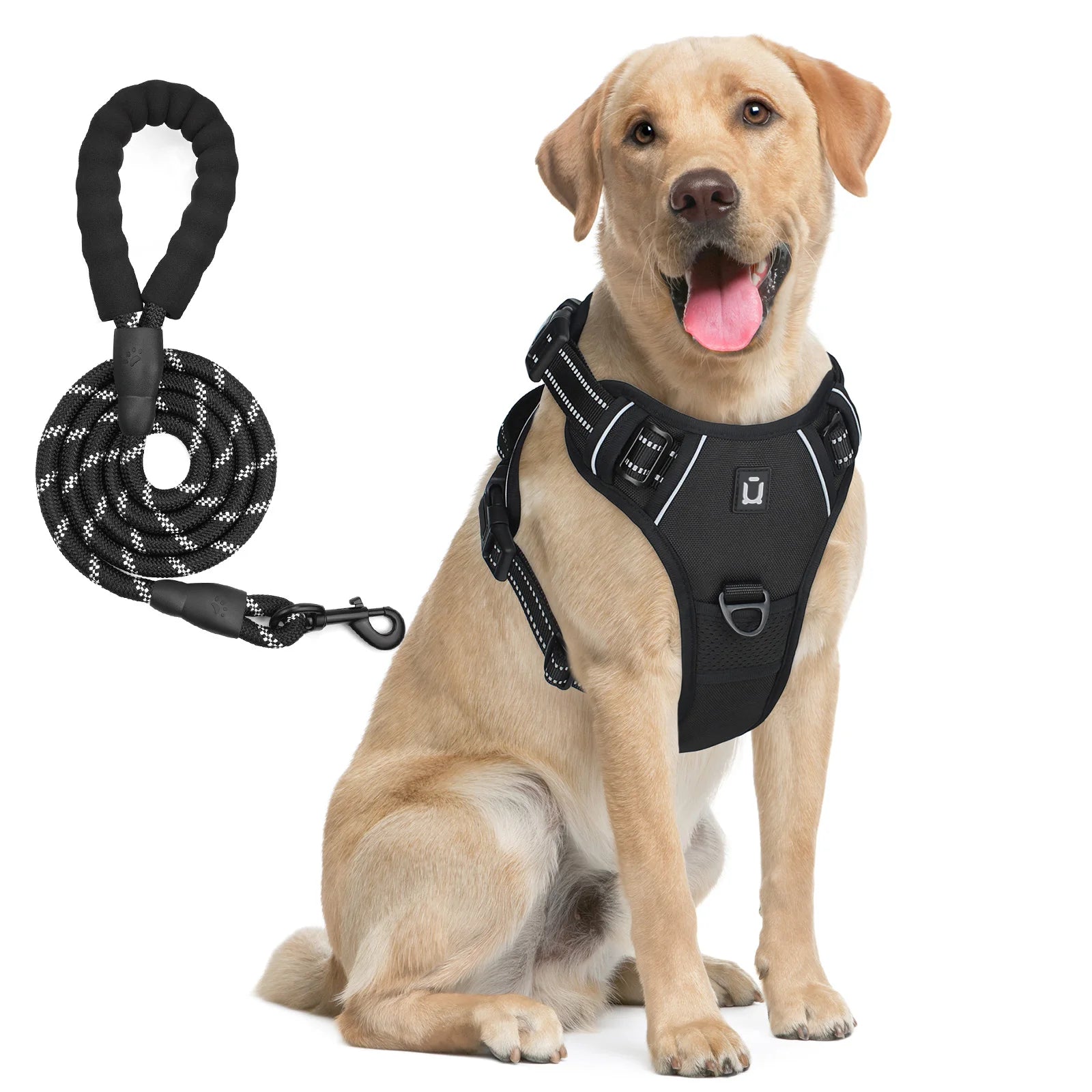 Dog Harness and Leash Combo