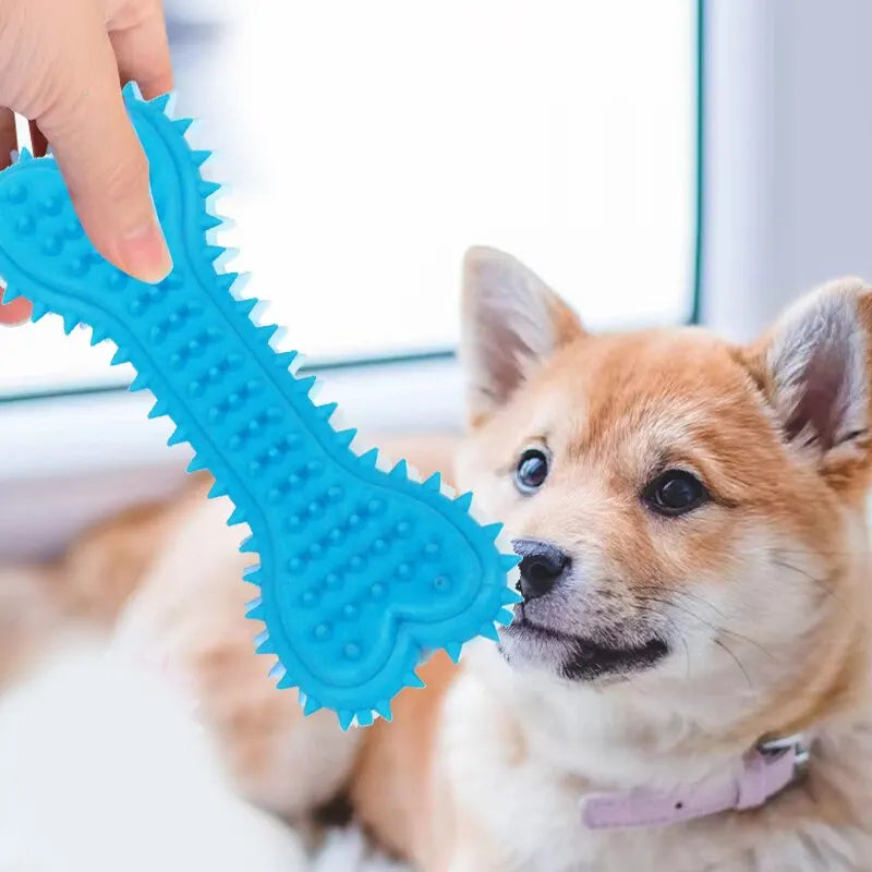 1PC Pet Chew Toy