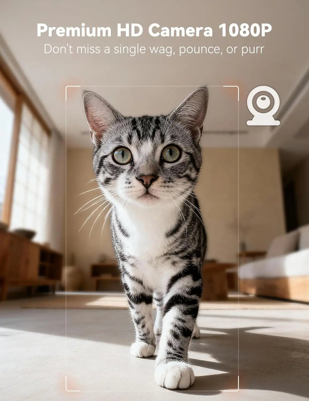 Automatic Smart Pet Feeder with HD Camera