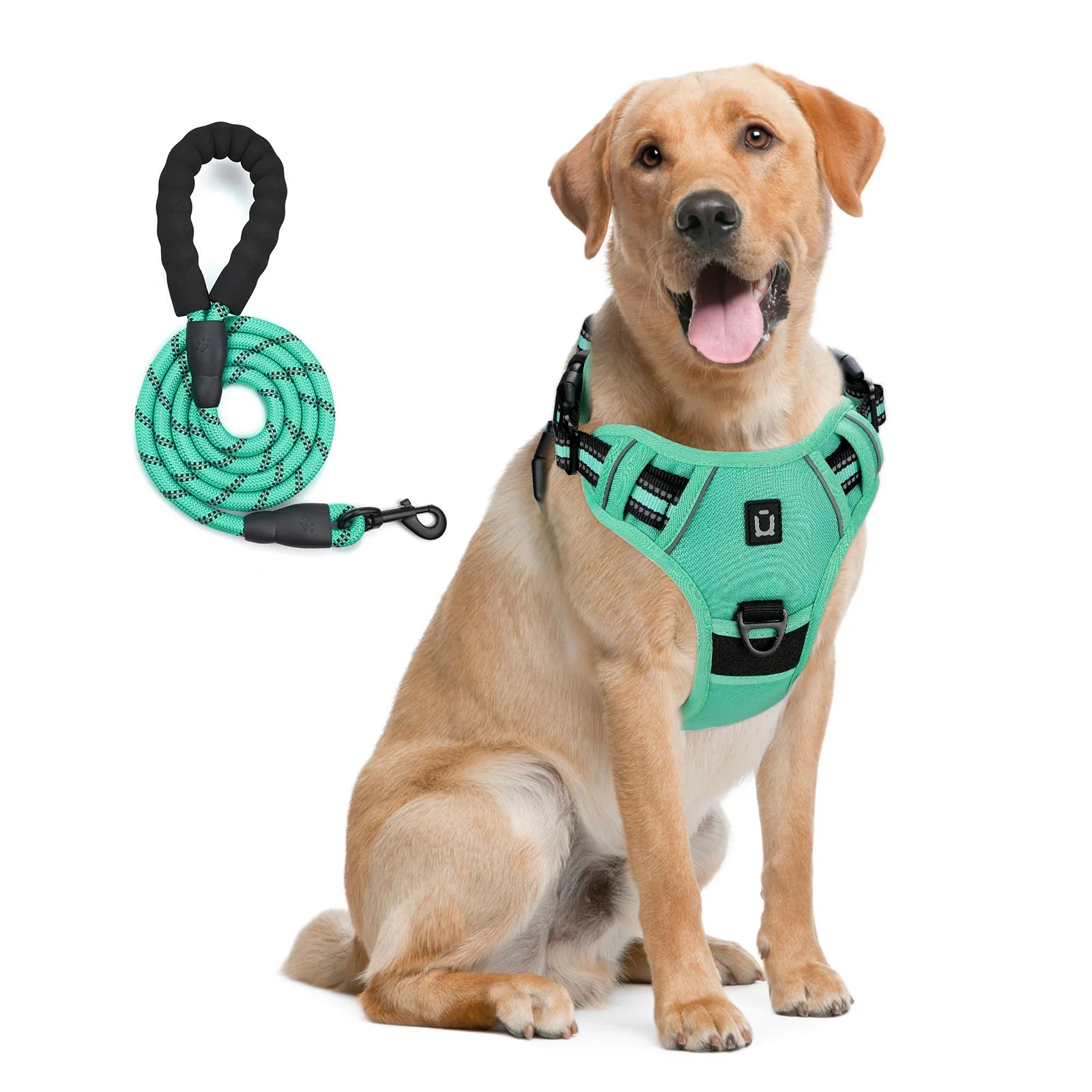 Dog Harness and Leash Combo