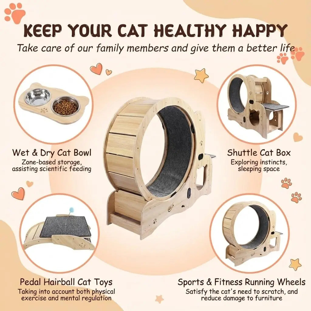 6-In-1 Cat Exercise Wheel