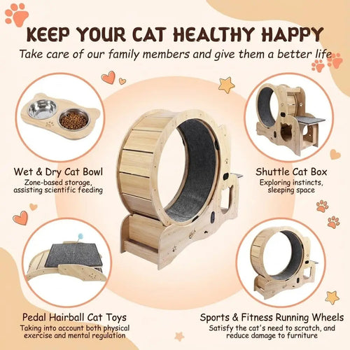 6-In-1 Cat Exercise Wheel