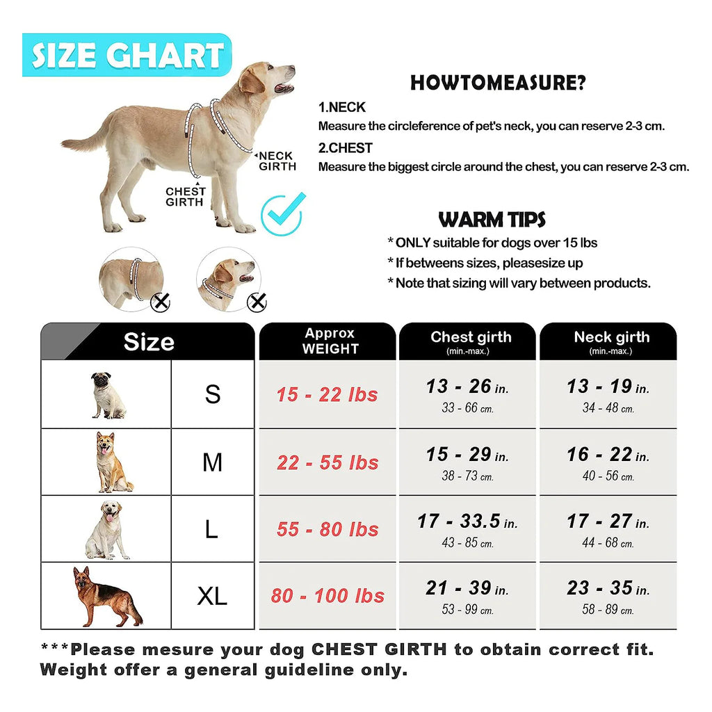 Dog Harness and Leash Combo