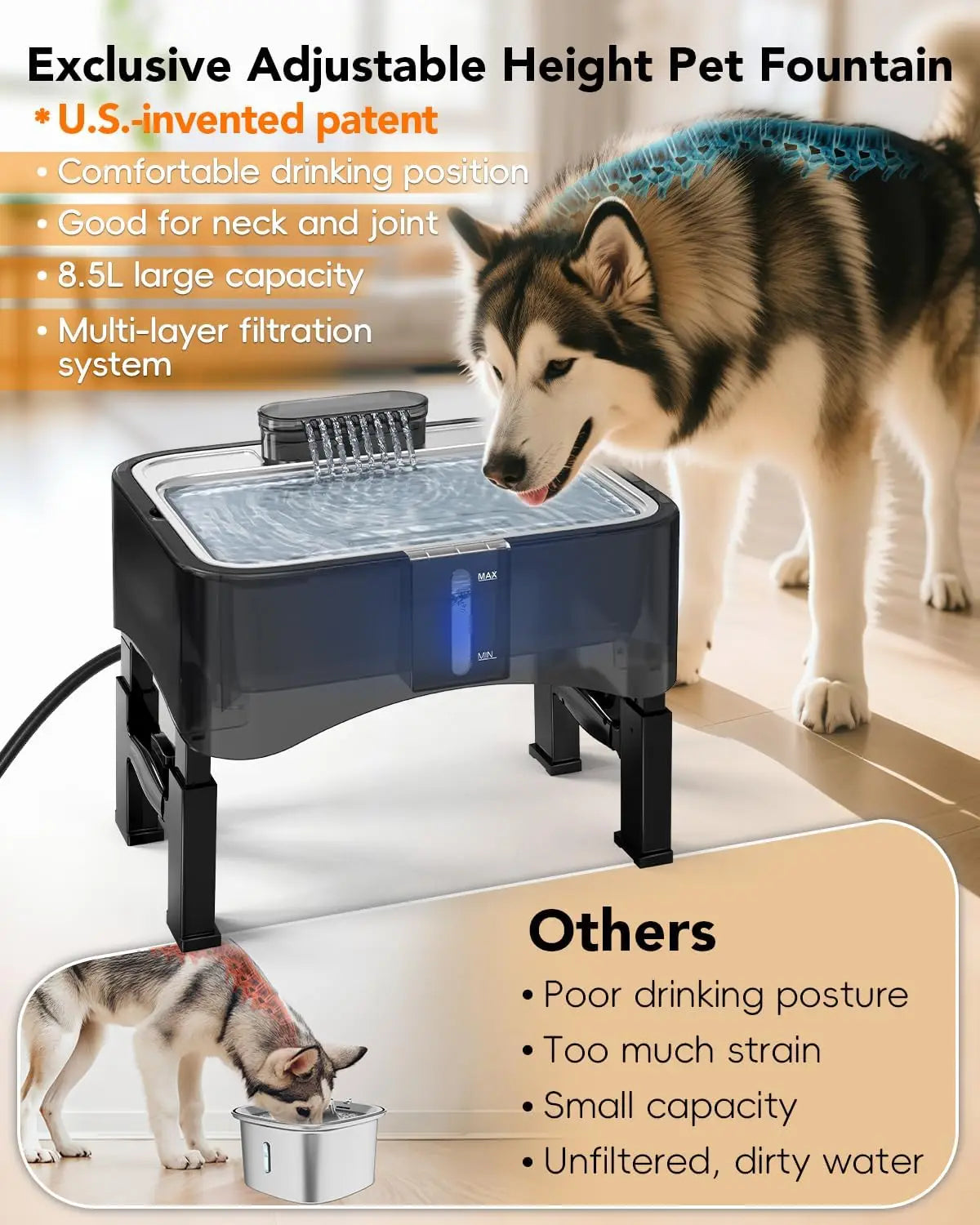 Adjustable Height Elevated Pet
