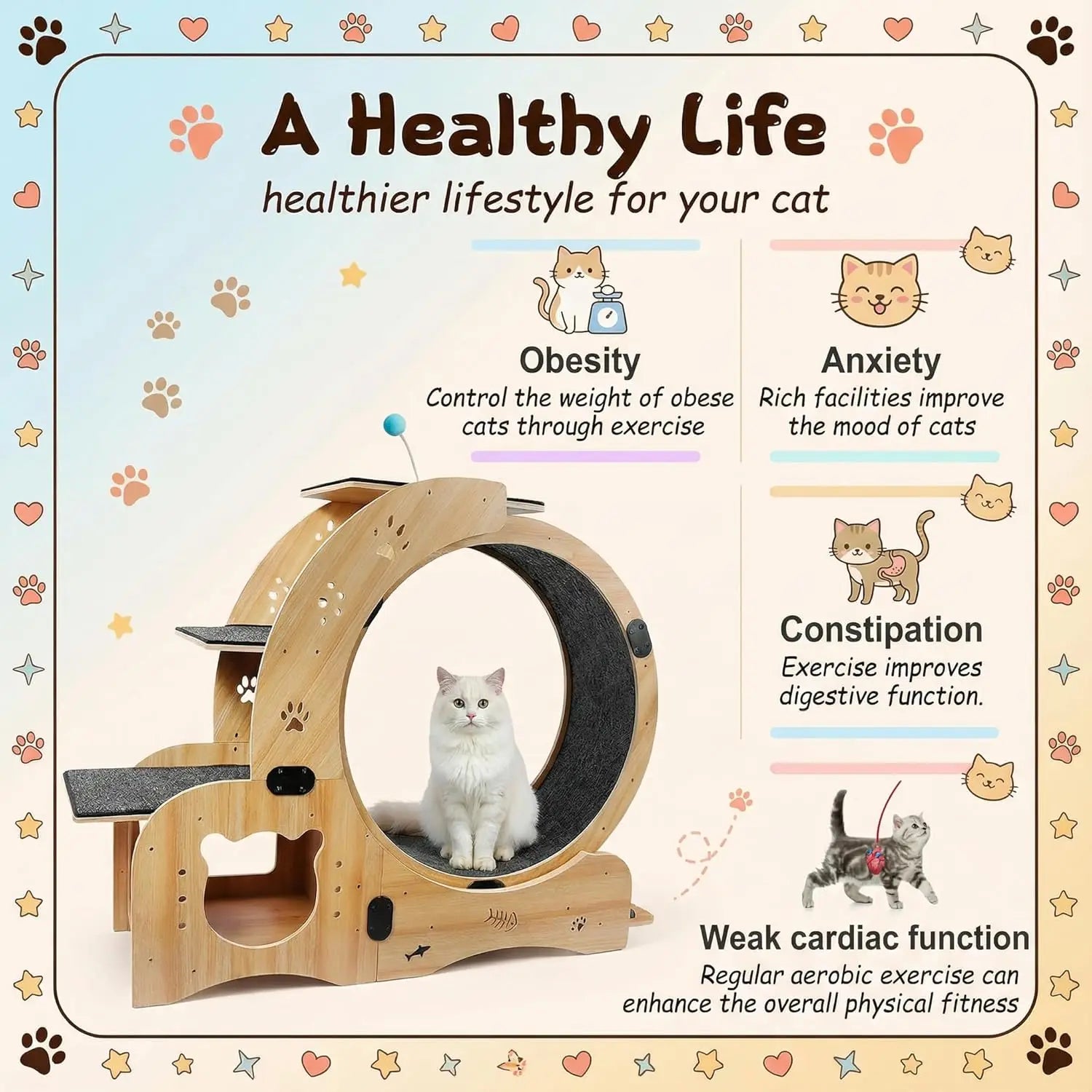 6-In-1 Cat Exercise Wheel