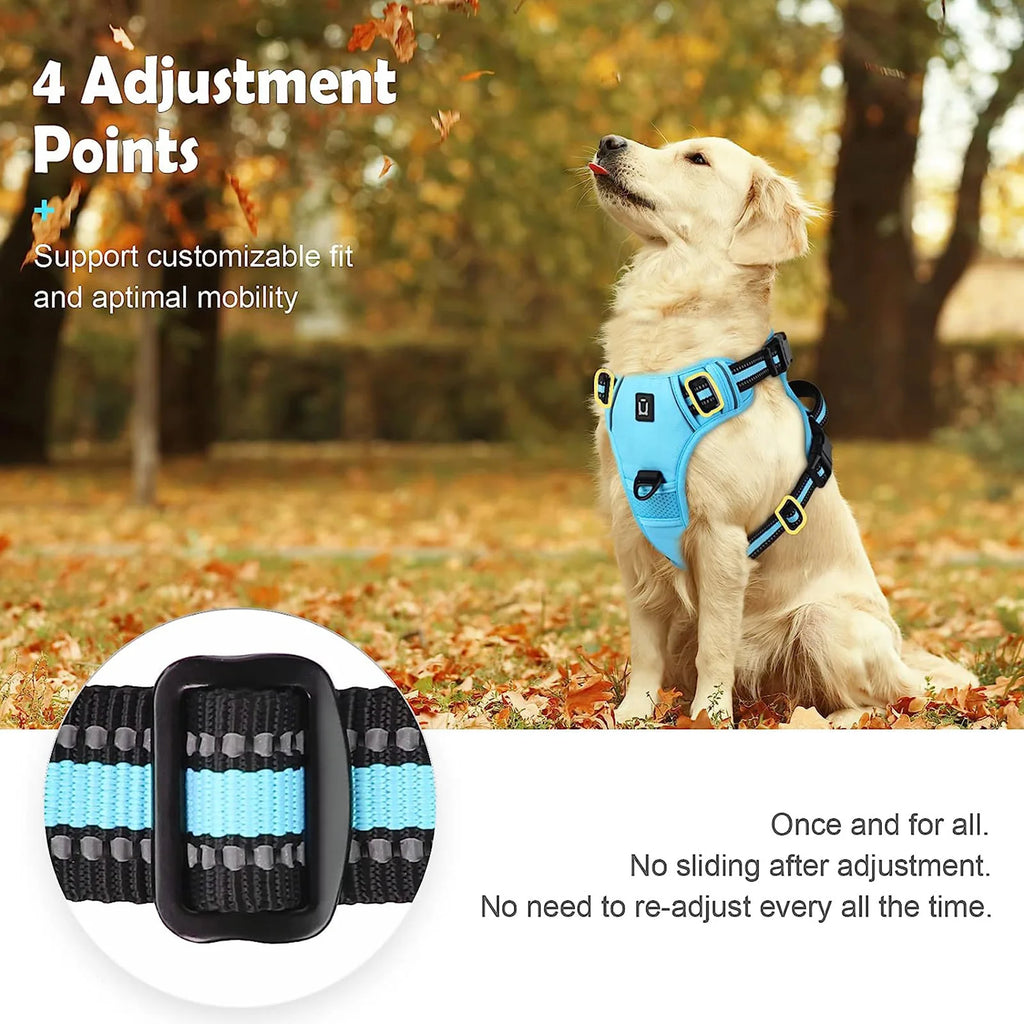 pawsoftly EasyWalk™