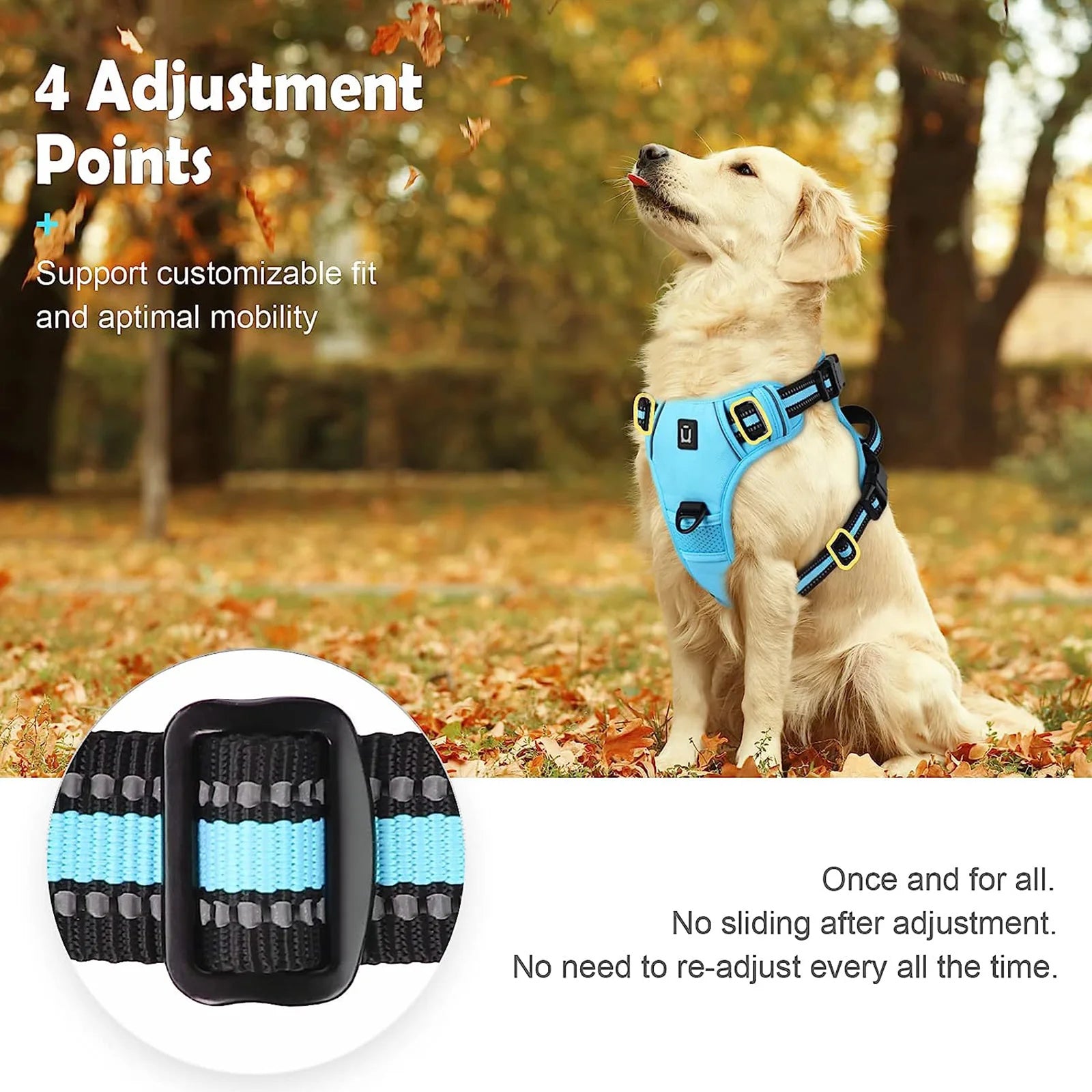 pawsoftly EasyWalk™