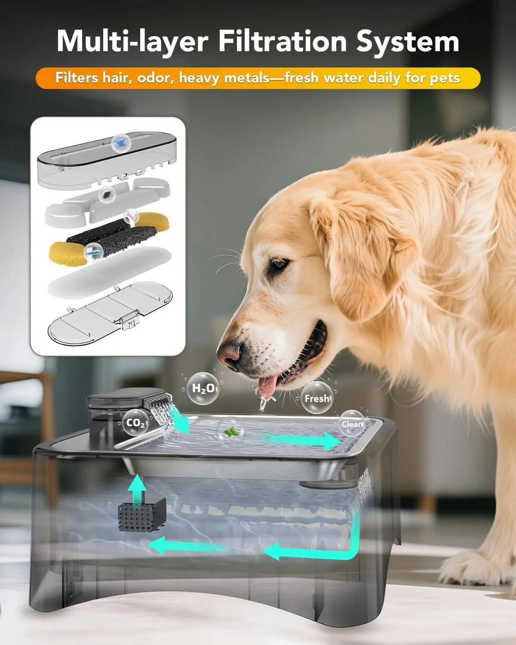 Adjustable Height Elevated Pet