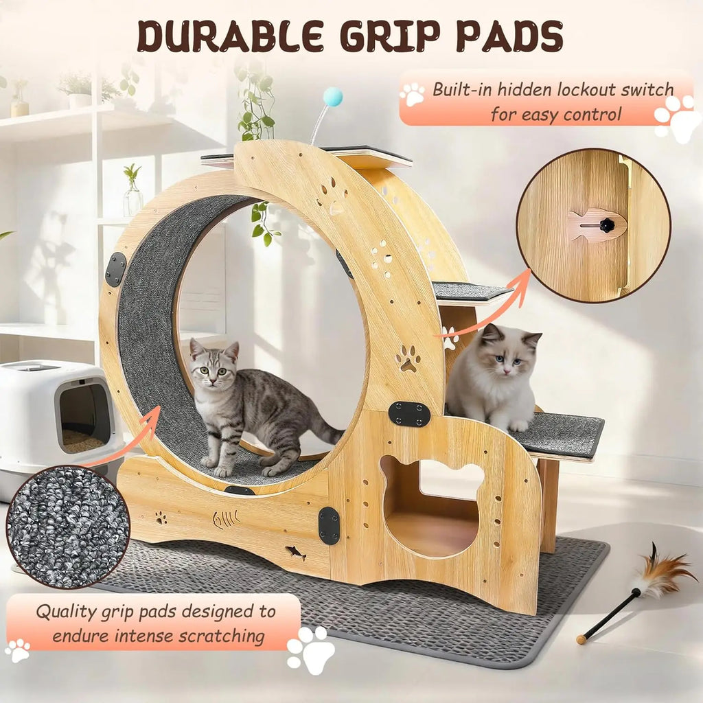 6-In-1 Cat Exercise Wheel