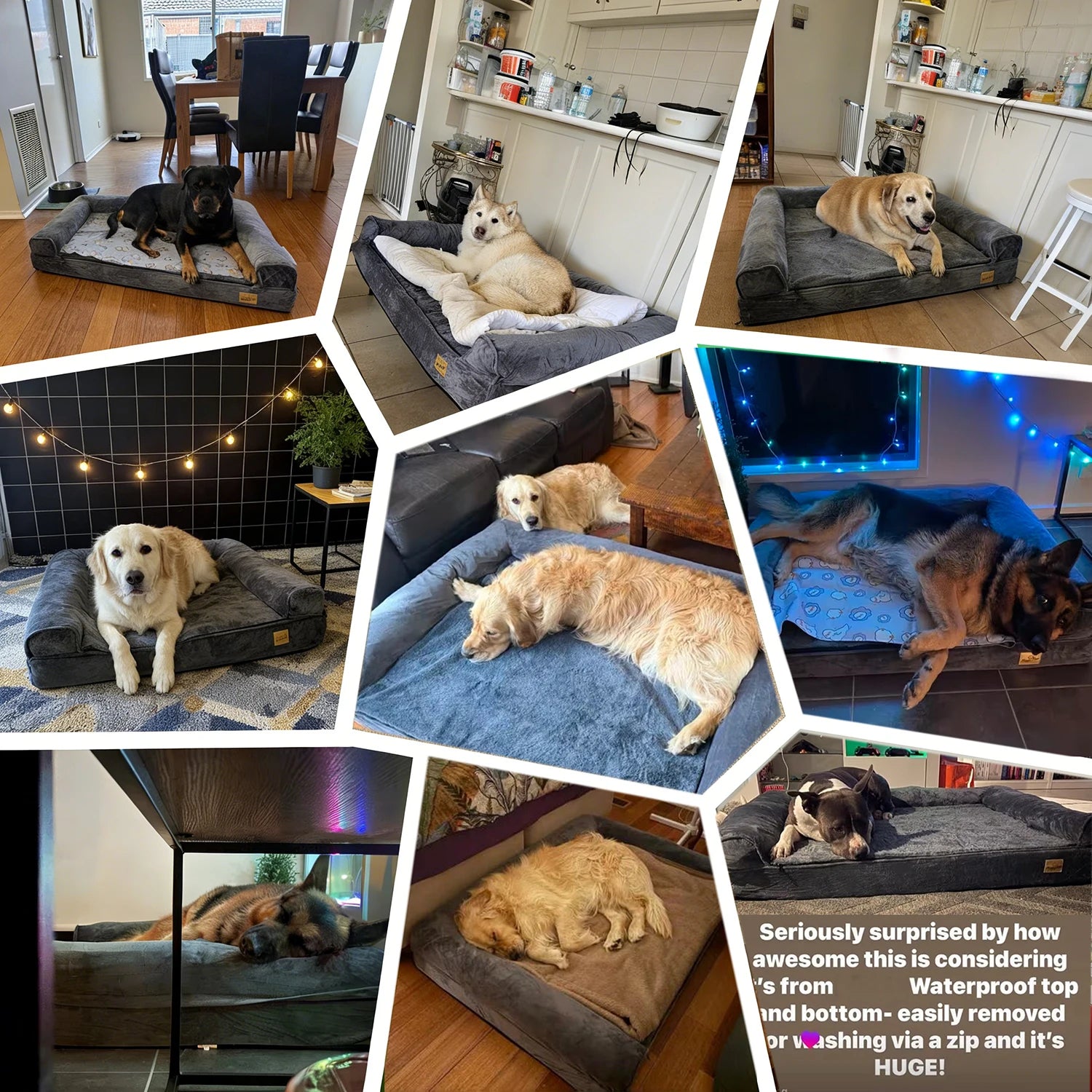 XXXL Calming Orthopedic Memory