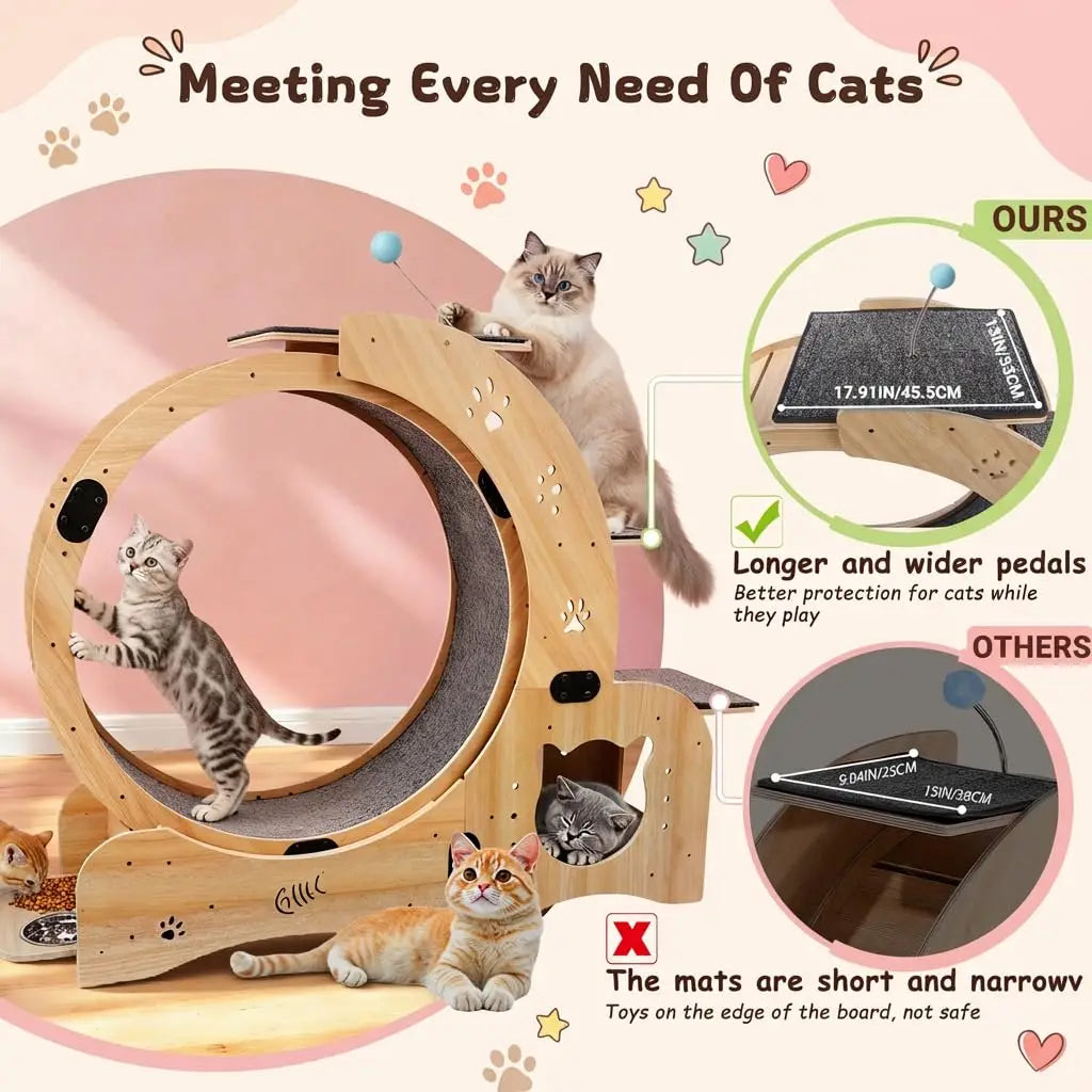 6-In-1 Cat Exercise Wheel