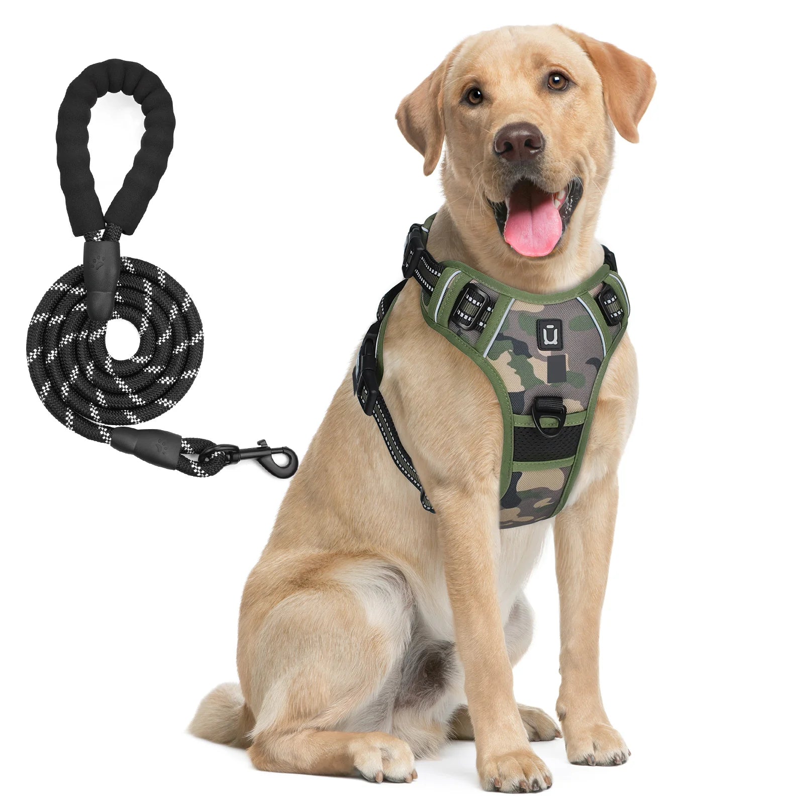 Dog Harness and Leash Combo